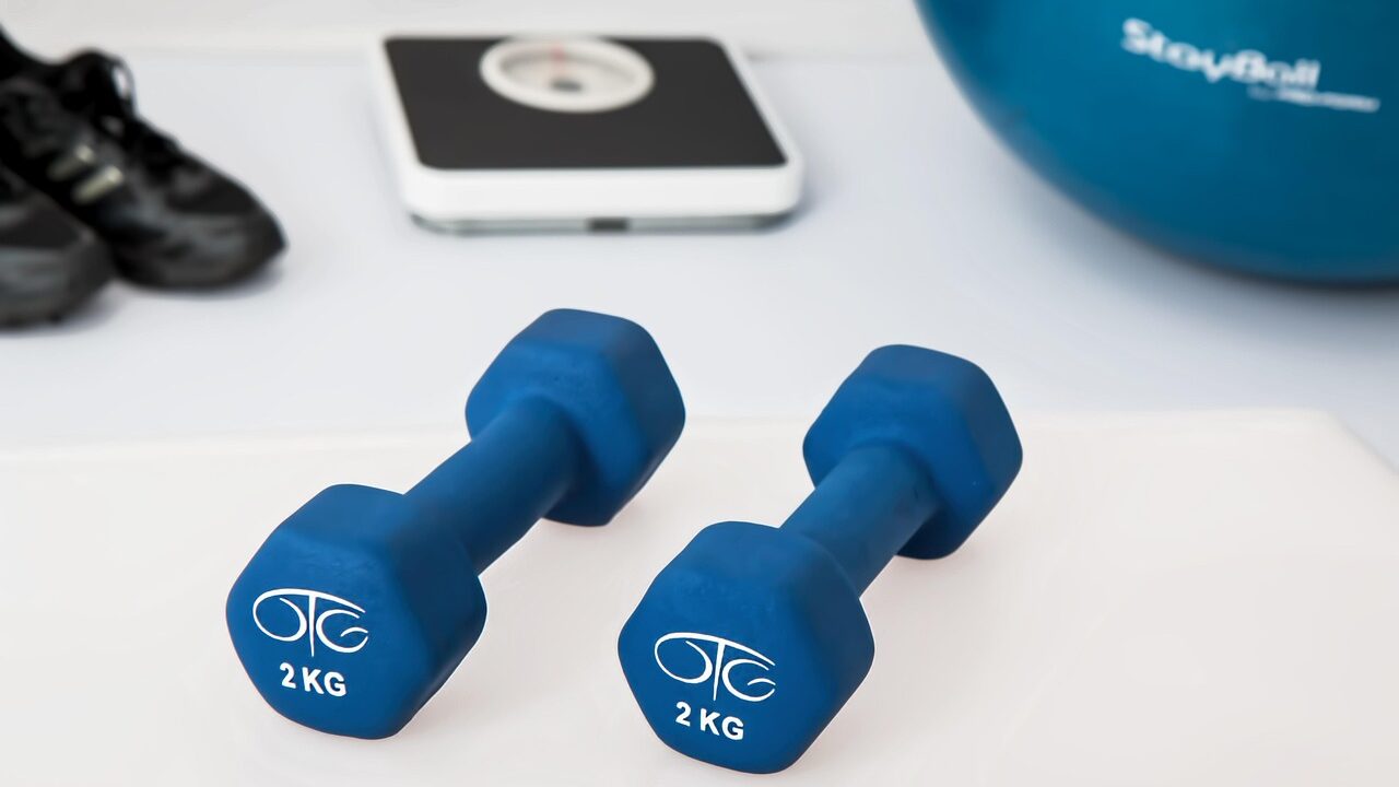 Physiotherapy, weight training, dumbbells, exercise balls, weight loss, workout, health, gym, therapist, physiotherapist, healthcare, fitness, wellness, rehabilitation, healing, therapeutic, weight loss, weight loss, workout, health, gym, gym, gym, gym, gym, fitness, fitness, fitness