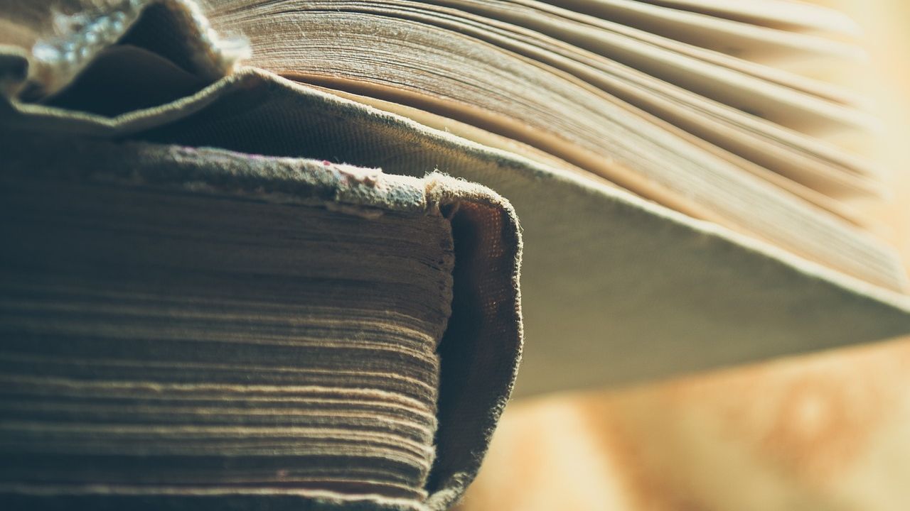 Close-up of the pages of an open book