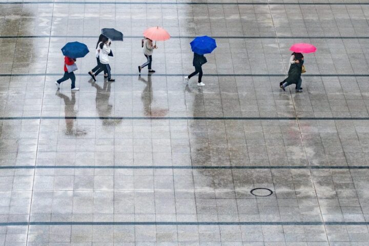 Rain, nature, people, umbrellas, wet, weather, thunderstorm