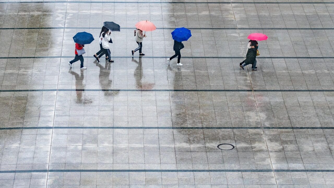Rain, nature, people, umbrellas, wet, weather, thunderstorm
