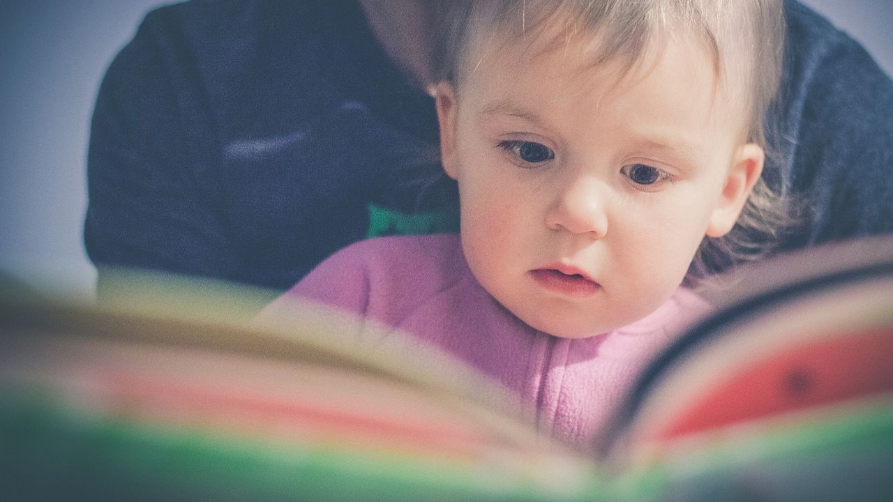 Toddler looking at a picture book
