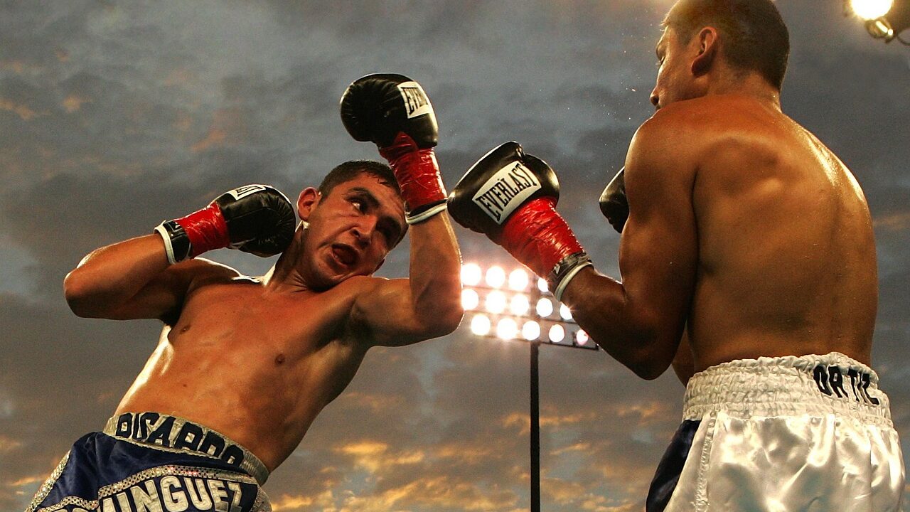 Boxing, sport, boxing match, athletes, boxers, uppercut, punch, ricardo dominguez, rafael ortiz, boxing ring, fight ring, boxing, boxing, boxing, boxing, boxing