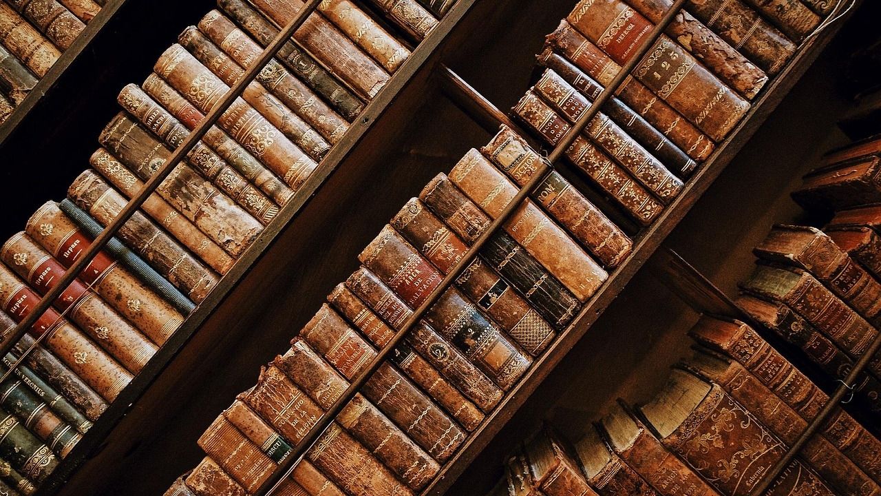 Shelves of antique leather-bound books
