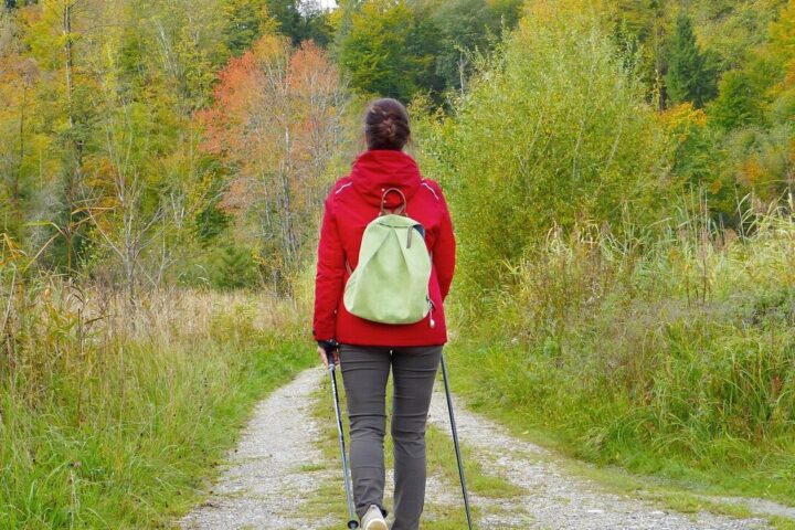 Woman, girl, walken, to go for a walk, backpack, outdoors, nature, forest, meadow, fall, fresh air, burnout, depression, heal, move, prevent, immune system, flu, cold, virus, menopause, female, human, pleasure, leisure time, hike, quiet, silence, inner center, relax, time out, happy, satisfaction, mindfulness, alone, lonely, the joy of living healthy, walken, fresh air, immune system, menopause, menopause, menopause, menopause, menopause