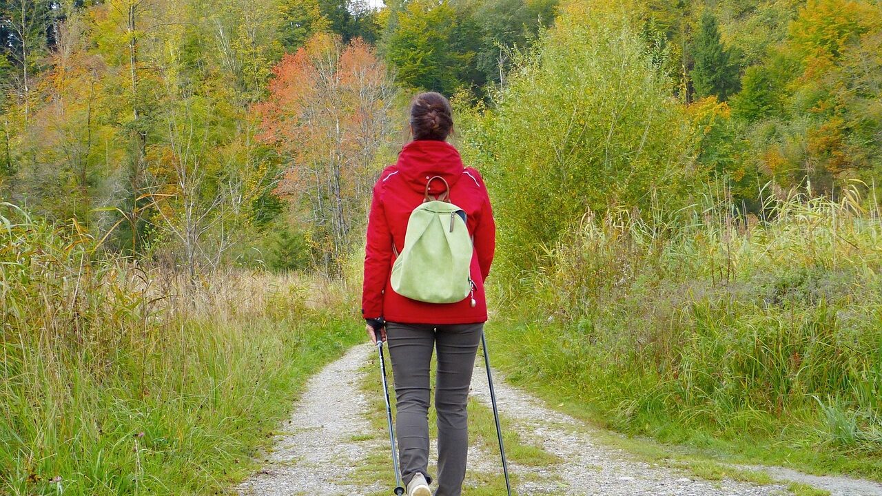 Woman, girl, walken, to go for a walk, backpack, outdoors, nature, forest, meadow, fall, fresh air, burnout, depression, heal, move, prevent, immune system, flu, cold, virus, menopause, female, human, pleasure, leisure time, hike, quiet, silence, inner center, relax, time out, happy, satisfaction, mindfulness, alone, lonely, the joy of living healthy, walken, fresh air, immune system, menopause, menopause, menopause, menopause, menopause