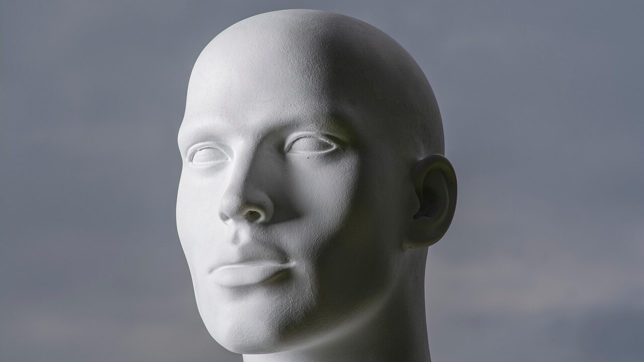 Man, head, face, mannequin, model, male, bald, eyes, nose, mouth, human, anatomy, mannequin, mannequin, mannequin, mannequin, mannequin