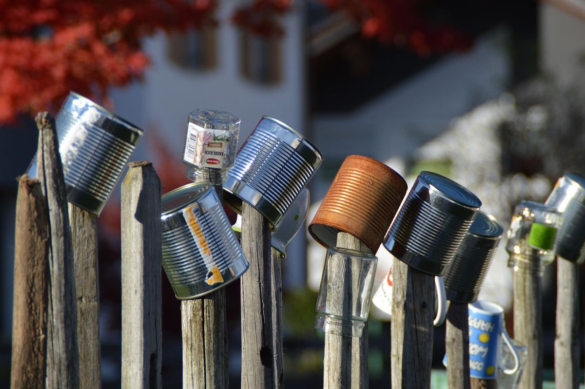 Old tin cans reused as planters on a wooden fence