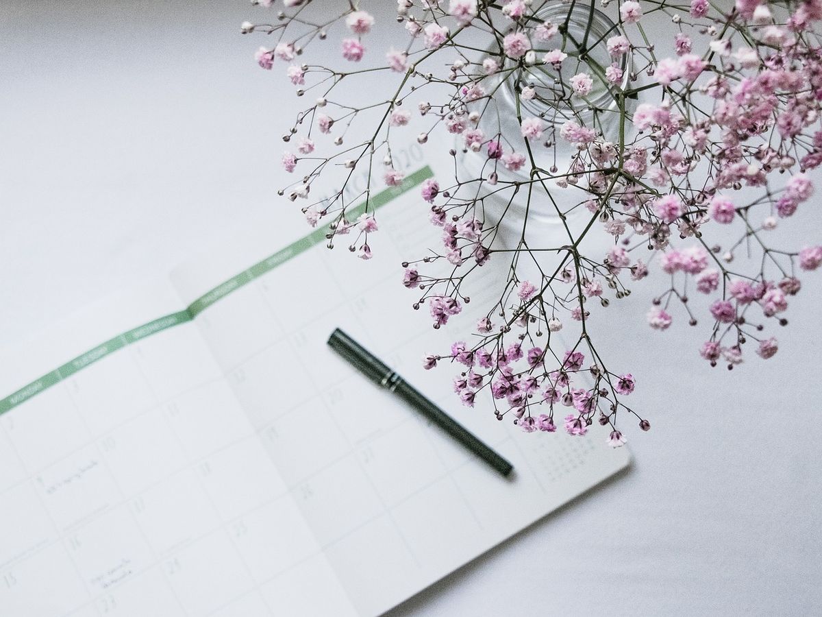 Pen and ruler beside a sprig of pink gypsophila