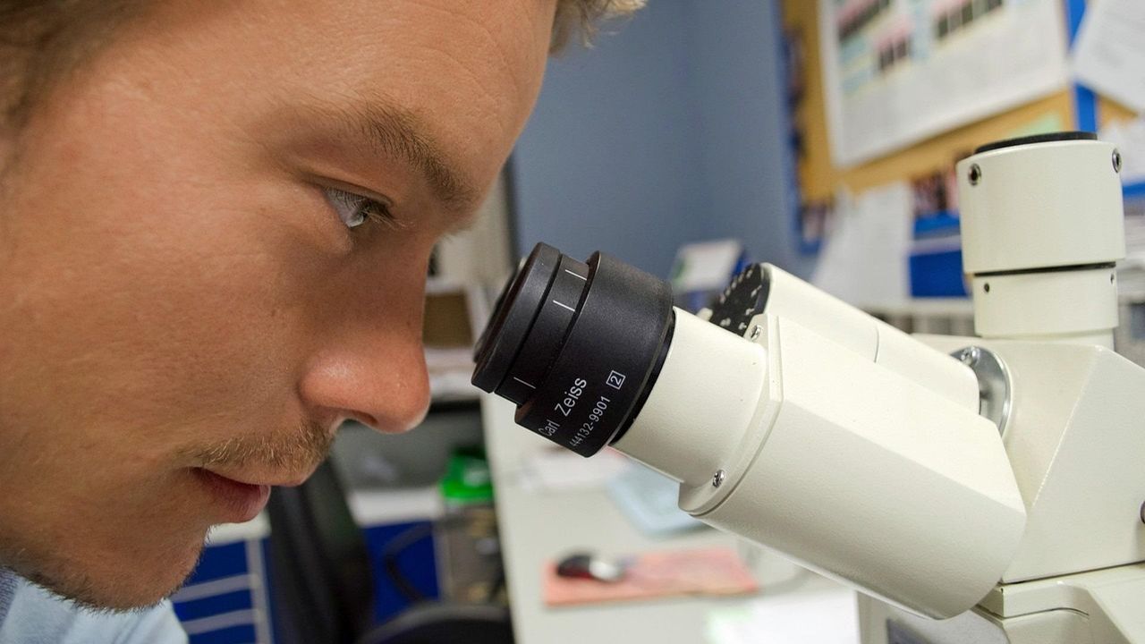 Scientist looking into a microscope