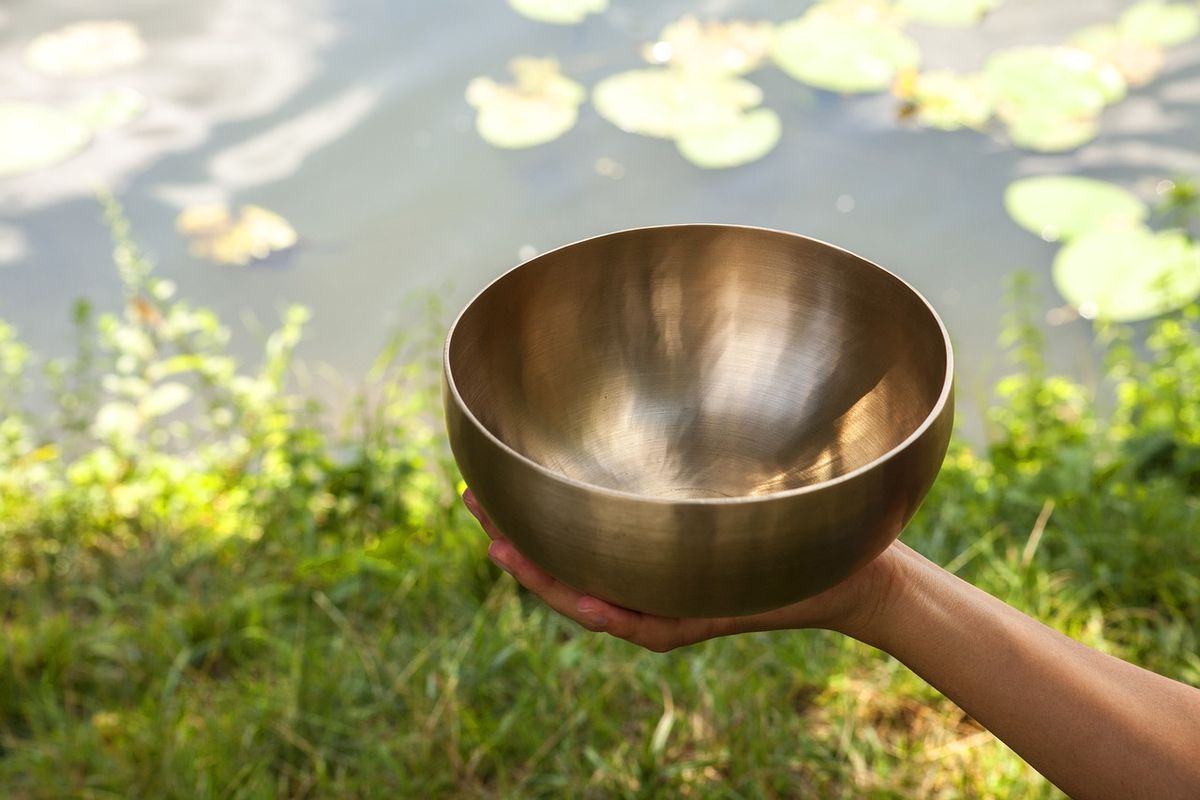 Hand holding a singing bowl outdoors by a lily pond