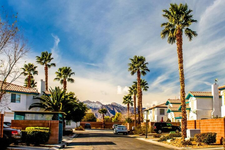 Palm trees lining a sunny Las Vegas residential street