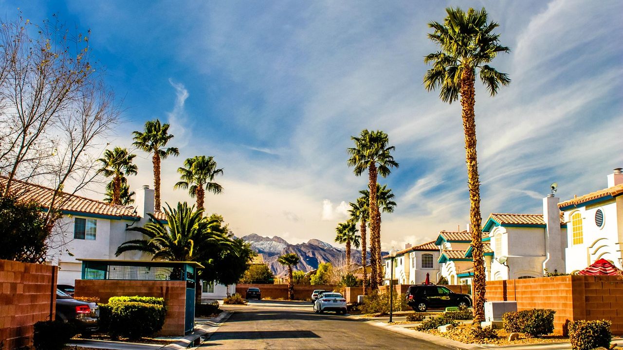 Palm trees lining a sunny Las Vegas residential street
