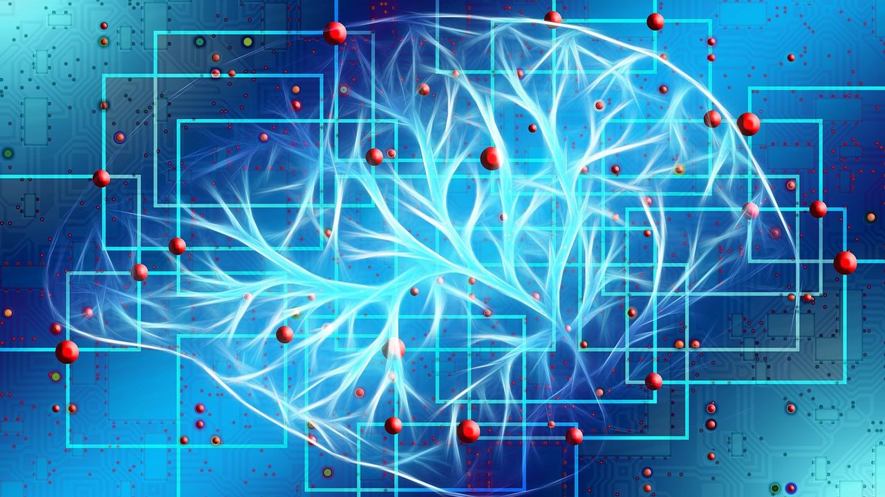 Illustration of a brain's neural pathways