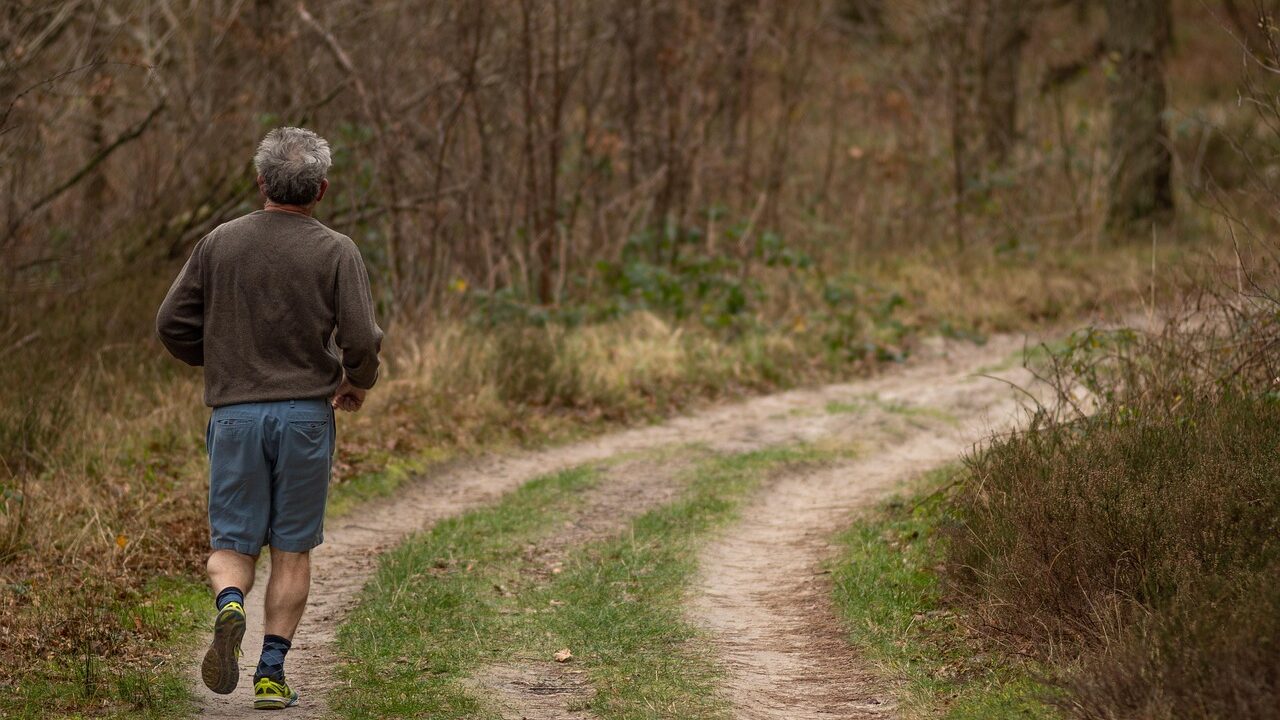 Jogging, trail, forest, man, adult, person, wellness, exercise, fitness, leisure, nature, recreational activity, active, activity, lifestyle, sports, outdoors, forest path, running, senior, elderly