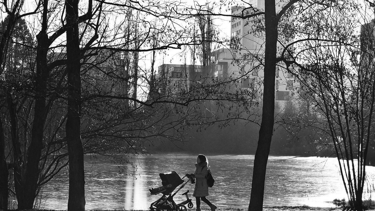 Mother pushing a pram through a wintry park