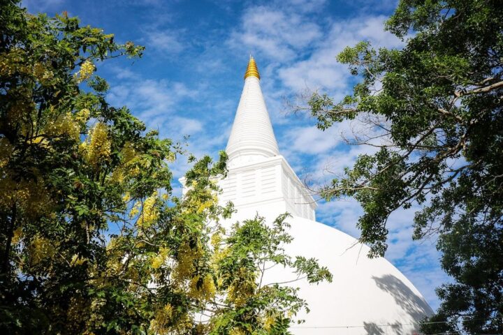 White stupa against a blue sky framed by trees