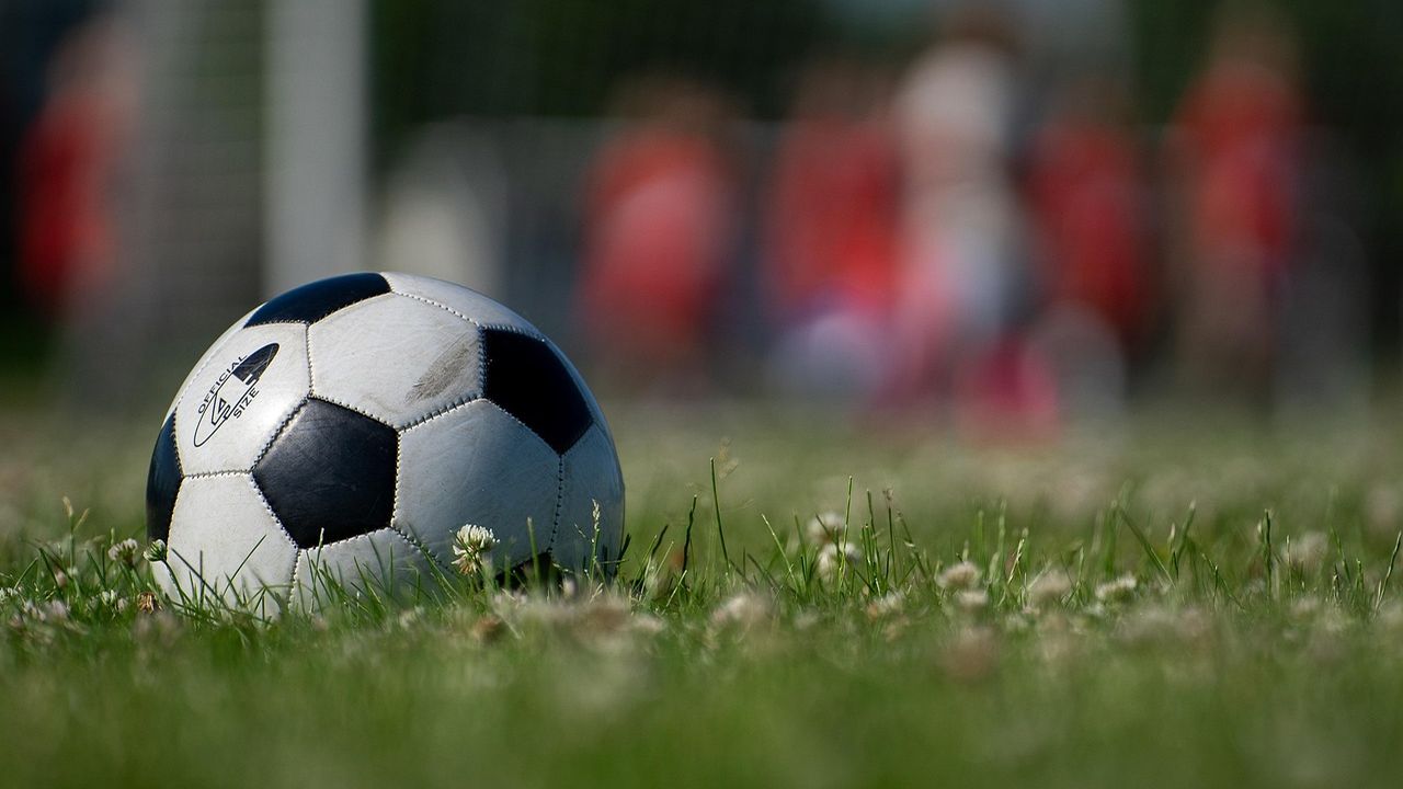 Football resting on grass in front of a blurred crowd