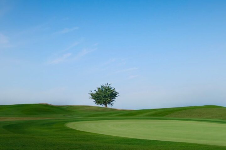 Golf course, tree, blue sky, summer, tranquility, nature, sport, grass field, solitude, greenery, countryside, hills, lonely landscape, soft light, peaceful landscape, lone tree, short grass, space, natural beauty