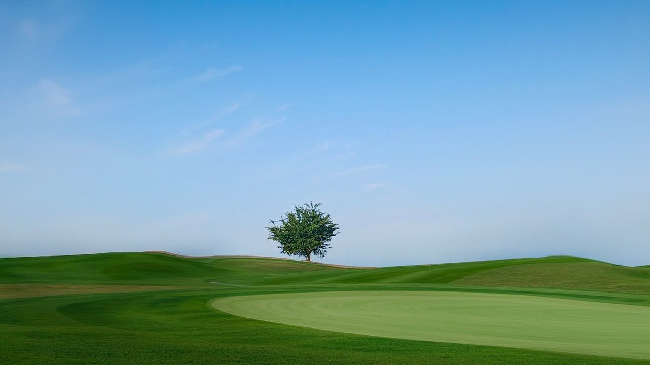 Golf course, tree, blue sky, summer, tranquility, nature, sport, grass field, solitude, greenery, countryside, hills, lonely landscape, soft light, peaceful landscape, lone tree, short grass, space, natural beauty