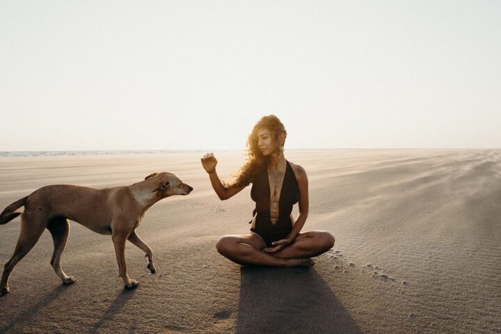 Woman sitting on a beach reaching out to a dog