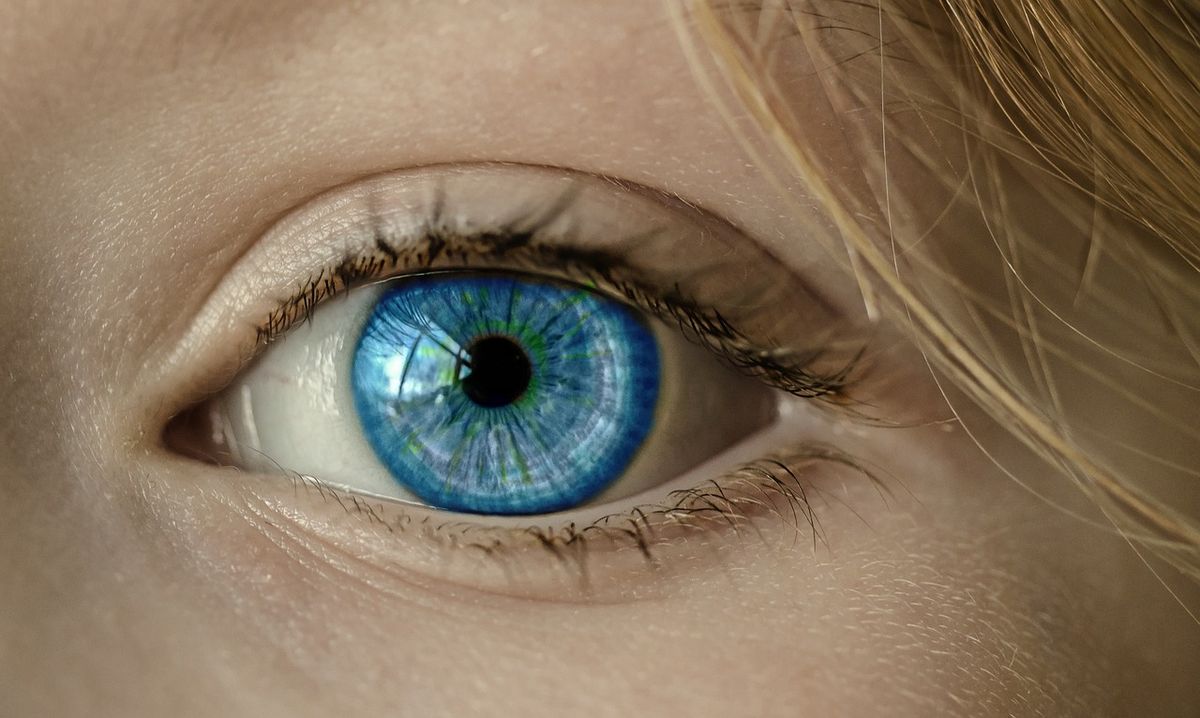 Close-up of a blue eye