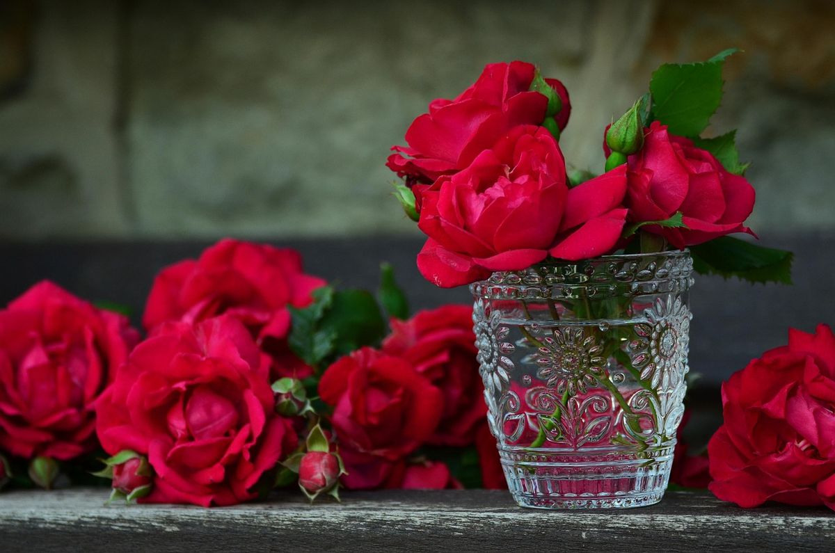 Red roses in a cut-glass vase